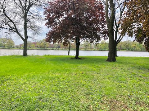 1420 Cobb Blvd, Kankakee, IL 60901 photo 19