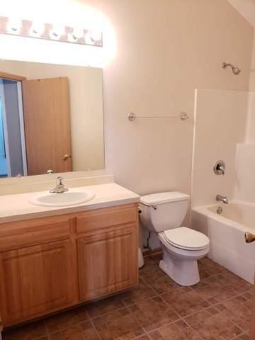 1446 Fox Hound Trl, Beecher, IL 60401 photo 24
