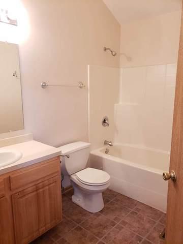 1446 Fox Hound Trl, Beecher, IL 60401 photo 25