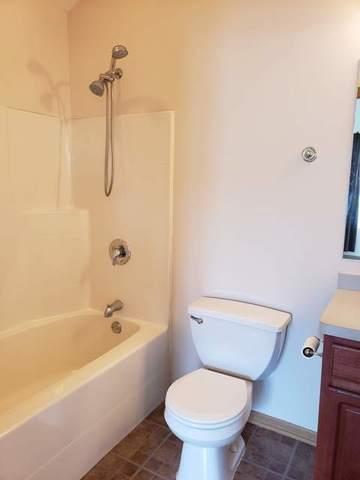 1446 Fox Hound Trl, Beecher, IL 60401 photo 37