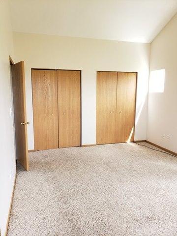 1446 Fox Hound Trl, Beecher, IL 60401 photo 27