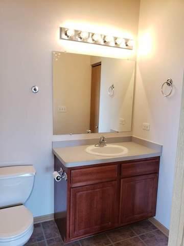 1446 Fox Hound Trl, Beecher, IL 60401 photo 35