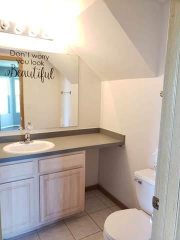 1446 Fox Hound Trl, Beecher, IL 60401 photo 20