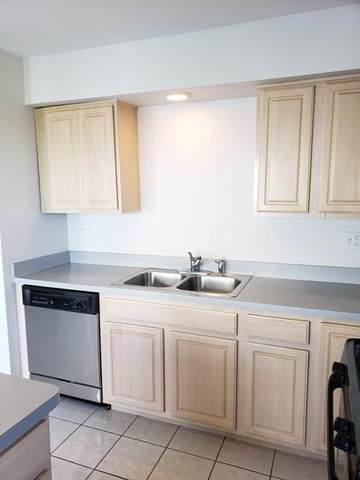 1446 Fox Hound Trl, Beecher, IL 60401 photo 10