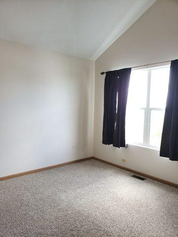 1446 Fox Hound Trl, Beecher, IL 60401 photo 33