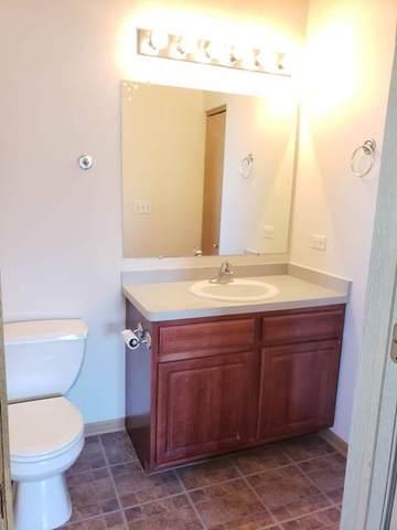 1446 Fox Hound Trl, Beecher, IL 60401 photo 30