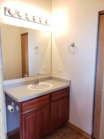 1446 Fox Hound Trl, Beecher, IL 60401 photo 38