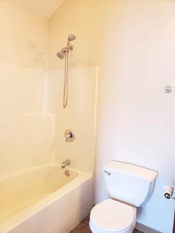 1446 Fox Hound Trl, Beecher, IL 60401 photo 31
