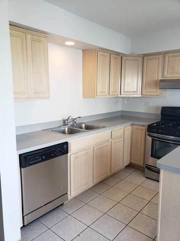 1446 Fox Hound Trl, Beecher, IL 60401 photo 8