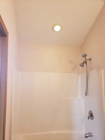 1446 Fox Hound Trl, Beecher, IL 60401 photo 32
