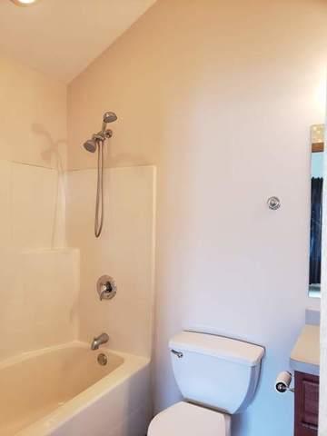 1446 Fox Hound Trl, Beecher, IL 60401 photo 36