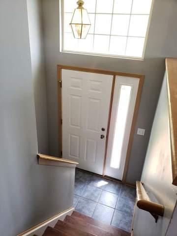 1446 Fox Hound Trl, Beecher, IL 60401 photo 5