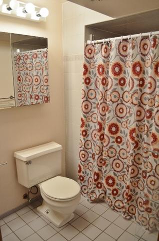 1077 Windsor Dr, Wheaton, IL 60189 photo 34