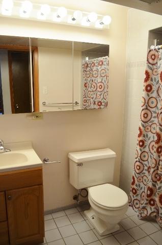 1077 Windsor Dr, Wheaton, IL 60189 photo 35