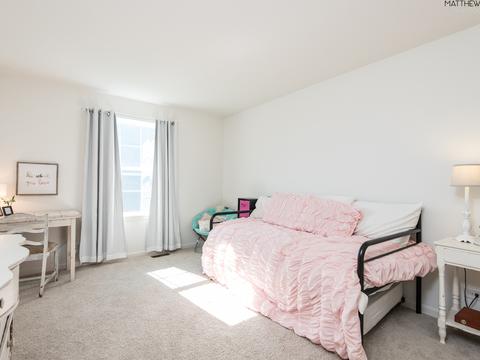 26823 Ashgate Xing, Plainfield, IL 60585 photo 23