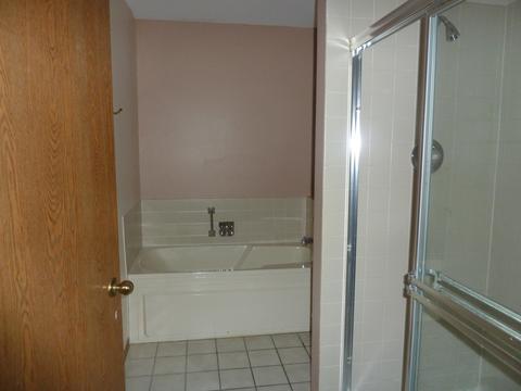 21241 W Silktree Cir, Plainfield, IL 60544 photo 10