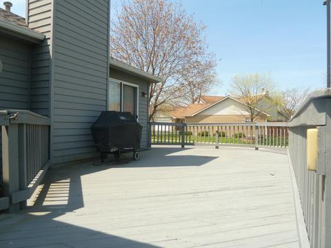 21241 W Silktree Cir, Plainfield, IL 60544 photo 15