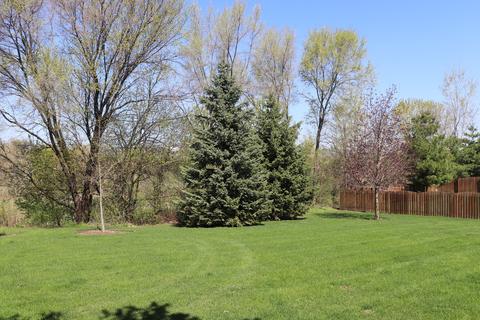 989 Oak Ridge Blvd, Elgin, IL 60120 photo 19