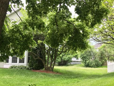 2016 Appaloosa Ct W, Wheaton, IL 60187 photo 12