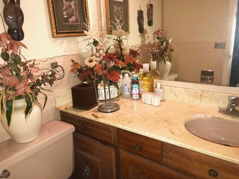 2738 W 85th St, Chicago, IL 60652 photo 27