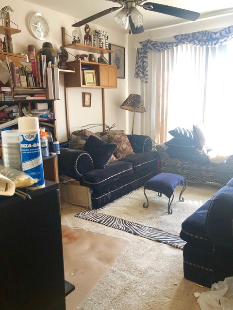 2738 W 85th St, Chicago, IL 60652 photo 13