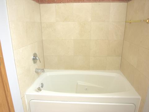 427 E 45th Pl #1, Chicago, IL 60653 photo 10