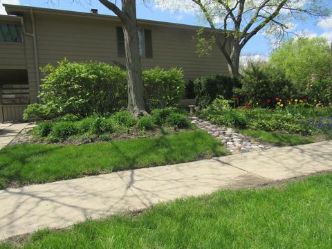 555 Avondale Ln, Hoffman Estates, IL 60169 photo 12