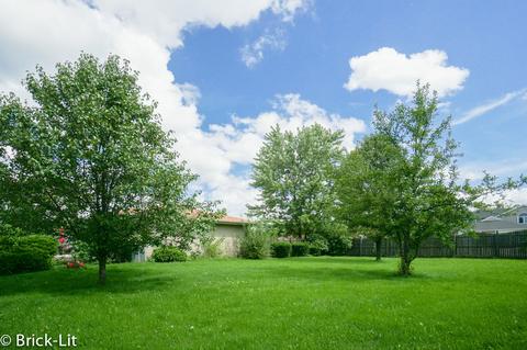 10914 Stephen Ct, Mokena, IL 60448 photo 4