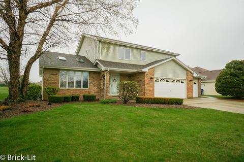 19650 Everett Ln, Mokena, IL 60448 photo 1