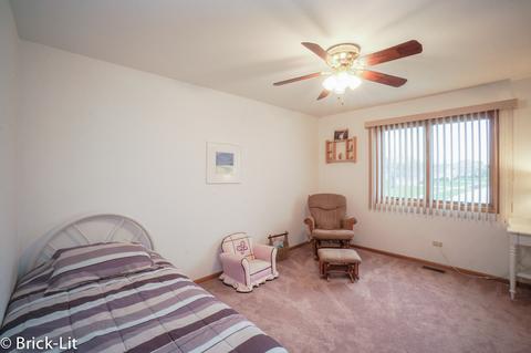19650 Everett Ln, Mokena, IL 60448 photo 16