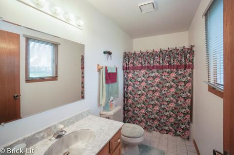 19650 Everett Ln, Mokena, IL 60448 photo 14