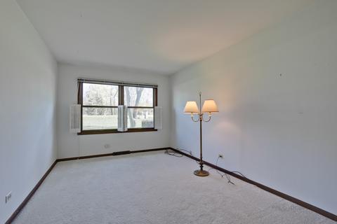 151 E Hillside Rd, Barrington, IL 60010 photo 23