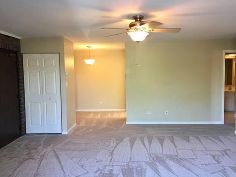 144 Bailey Rd #K, Naperville, IL 60565 photo 6