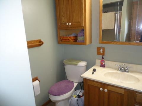 116 E 7th St, Gridley, IL 61744 photo 21