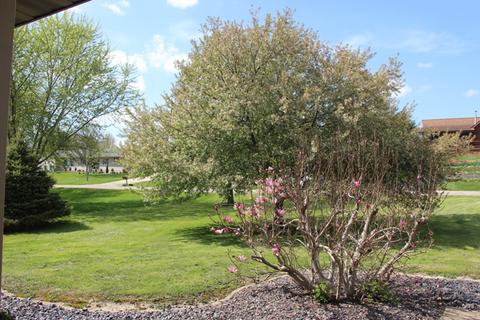 3467 E Spring Creek Dr, Ladd, IL 61329 photo 34
