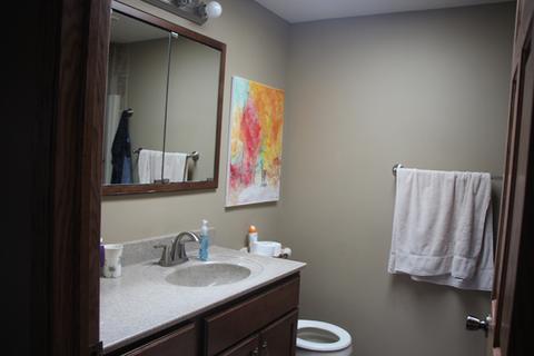 3467 E Spring Creek Dr, Ladd, IL 61329 photo 22