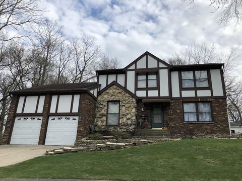 16 E Division St, Lemont, IL 60439 photo 33