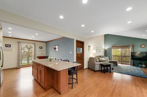16 E Division St, Lemont, IL 60439 photo 9