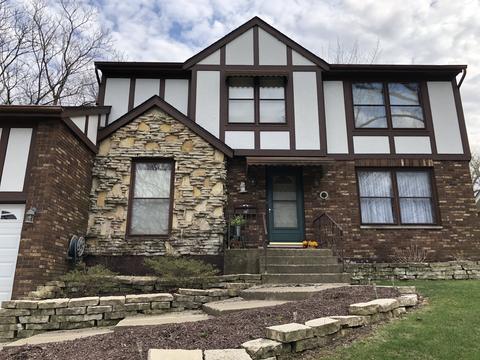 16 E Division St, Lemont, IL 60439 photo 32