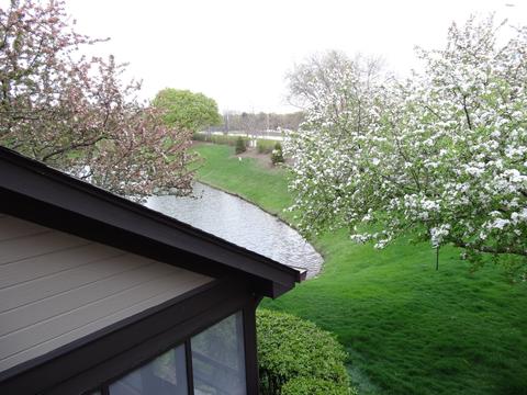 1765 Pebble Beach Dr, Hoffman Estates, IL 60169 photo 44