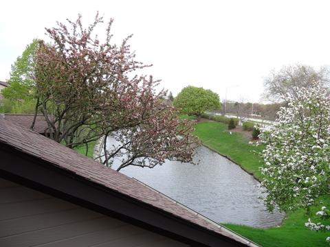 1765 Pebble Beach Dr, Hoffman Estates, IL 60169 photo 42
