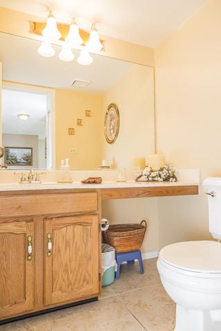 394 Wildberry Ln, Bartlett, IL 60103 photo 8