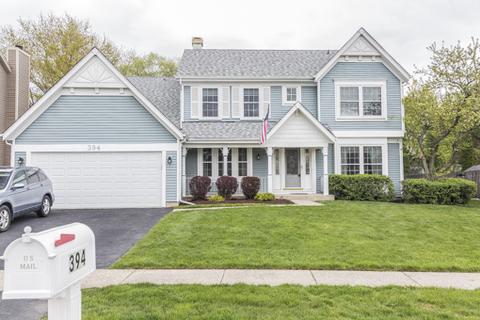 394 Wildberry Ln, Bartlett, IL 60103 photo 1