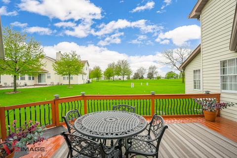 21303 Silktree Cir, Plainfield, IL 60544 photo 20