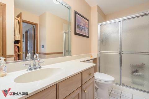 21303 Silktree Cir, Plainfield, IL 60544 photo 13