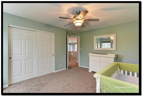 13517 Meadow Ln, Plainfield, IL 60544 photo 29