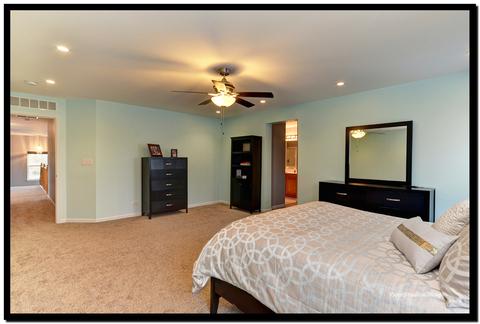 13517 Meadow Ln, Plainfield, IL 60544 photo 24