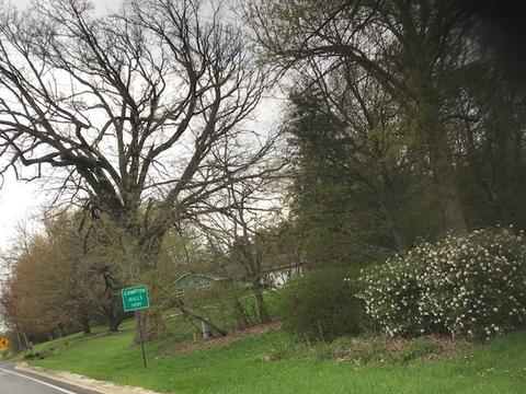 9 N106 Dittman Rd, Elgin, IL 60124 photo 4