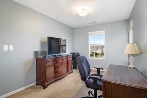 2409 Millpond Ct, Plainfield, IL 60586 photo 20