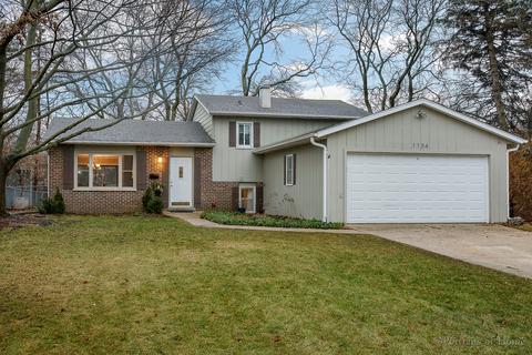 1154 Windsor Dr, Wheaton, IL 60189 photo 21